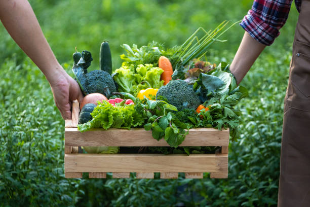 Farm‑to‑Table Experience